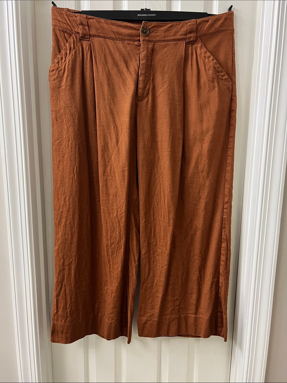 CAbi Wide Leg Pants in Rust